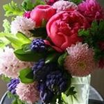 Profile Picture of Micheline Francois (@micheline.francois) on Instagram