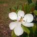 Profile Picture of Eulalia Munoz Romero (@eulaliamunozromero) on Pinterest