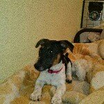 Profile Picture of Damian Jesus Almenara Conrado (@damiagulo78) on Instagram