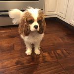 Profile Picture of Michele H (@michele_hayes74) on Instagram