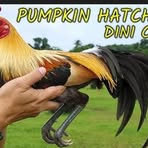 Profile Picture of James Alvaran (@James-Alvaran) on Facebook