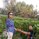 Profile Picture of Mukesh Parikh (@mukesh.parikh.31149) on Instagram