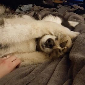 Profile Picture of Mari Benson-Davey (@mbdavey) on Pinterest