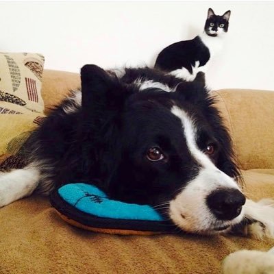 Profile Picture of Dan Buwalda (@BuwaldaDan) on Twitter