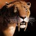 Profile Picture of alex becerra (@rexmaster8000) on Pinterest