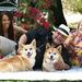 Profile Picture of Rick Keyes (@keyesjr) on Pinterest