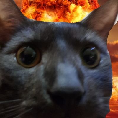 Profile Picture of David Hall (@KingDavidOrme_) on Twitter
