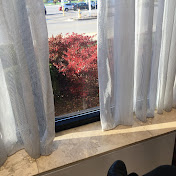 Profile Picture of Crystal Massimo (@crystalmassimo1098) on Youtube