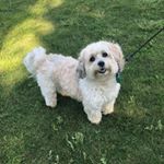 Profile Picture of Adrian Vance (@ayy.yo.adrian) on Instagram