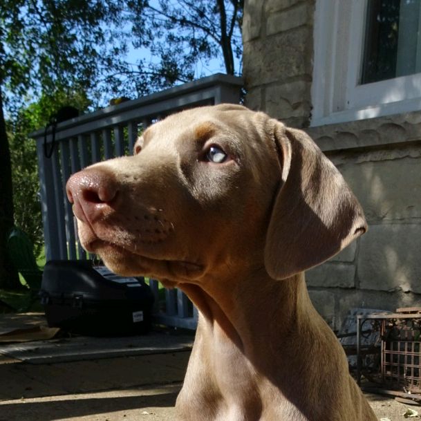 Profile Picture of Shawna Wyman (@shawnawyman) on Tiktok