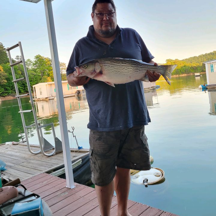 Profile Picture of Todd (@toddhamlin890) on Tiktok