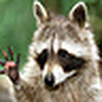 Profile Picture of Marc (@maku82) on Flickr