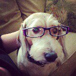 Profile Picture of Kathy Thrower (@kthythrwr) on Instagram