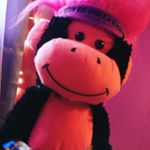 Profile Picture of Gerald The Monkey (@gerald_the_hunky_monkey) on Instagram
