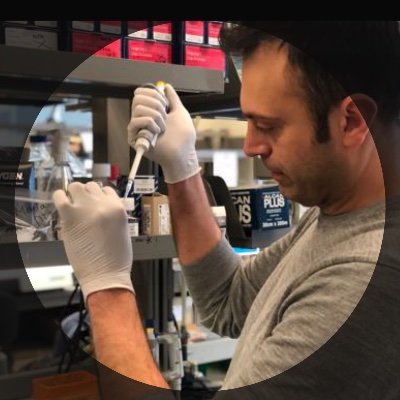 Profile Picture of Notta Lab (@LabNotta) on Twitter