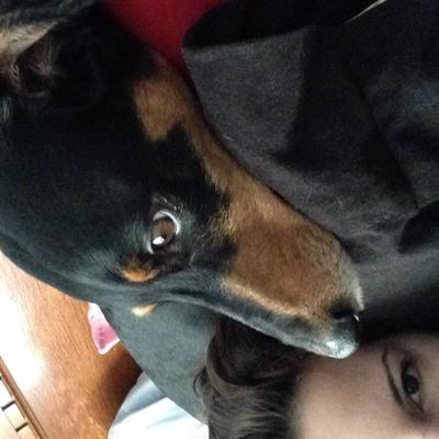 Profile Picture of Brandi Egbert-Meyer (@Brandi_EgbertM) on Twitter