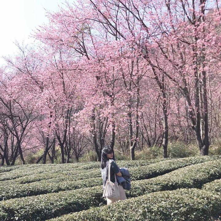 Profile Picture of Jiahlin (@user61592026) on Tiktok