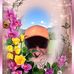 Profile Picture of Richard Resch (@richard.resch.5872) on Facebook