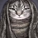 Profile Picture of Himbert Dingle (@Himbert-Dingle) on Facebook