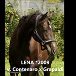 Profile Picture of Martina Noller (@nolli_78) on Instagram