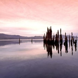 Jason Bonadies - Myspace Profile Picture of Jason Bonadies (@344540368) on Myspace