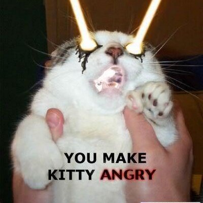 Profile Picture of Tom Austen (@taustenyankee) on Twitter