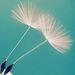 Profile Picture of Theturtle Wannee (@limwannee) on Pinterest