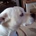 Profile Picture of Raymond Hanner (@raymond.hanner.50) on Facebook