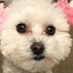 Profile Picture of joseph gray (@joehomie1) on Instagram