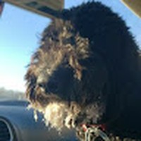 Profile Picture of Erick Swanson (@erick-swanson-8) on Quora