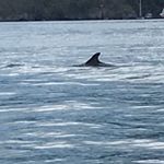 Profile Picture of Joel Easton (@joeleaston) on Instagram