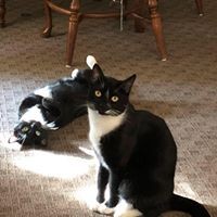 Virginia Vogt - Quora Profile Picture of Virginia Vogt (@virginia-vogt) on Quora