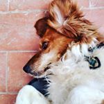 Profile Picture of Joel Casanova Lopez (@jjcasanova66) on Instagram