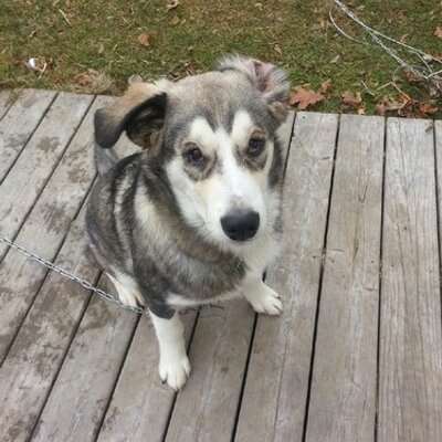 Profile Picture of Nick Guay (@nguay12) on Twitter