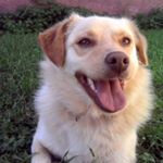 💖 Dad 💖 - Instagram Profile Picture of 💖 Dad 💖 (@_nancy_salvator) on Instagram