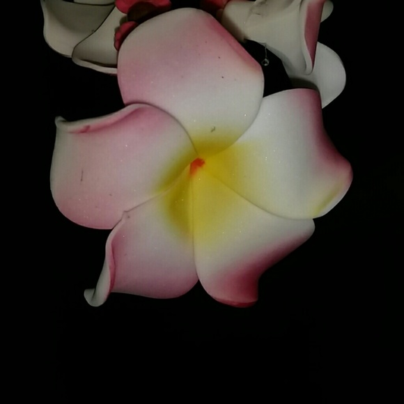 Profile Picture of Frieda Diskin (@kaligirl_la) on Poshmark