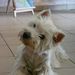 Profile Picture of Richard Lukasiewicz (@richardlukasiew) on Pinterest