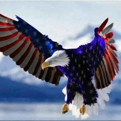 Profile Picture of Brian Bilodeau (@brianb8496) on Twitter