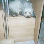 Profile Picture of Lara Hannon Caldwell (@caldwell.lara) on Instagram