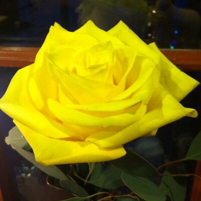 Profile Picture of Debbie Sisson (@sisson_debbie) on Twitter