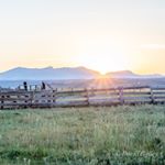 Profile Picture of David Galley (@dsgalley) on Instagram