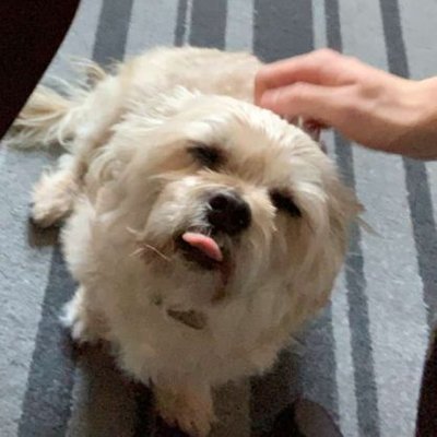 Profile Picture of Steven Huynh (@Stevenn_H) on Twitter
