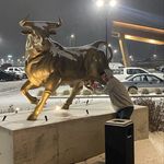 Profile Picture of Matthew Burleigh (@matthew.burleigh) on Instagram