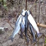 Dave Bracken - Instagram Profile Picture of Dave Bracken (@davebracken.49) on Instagram