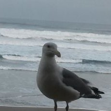 Profile Picture of Jim Wiechmann (@jimw153) on Twitter