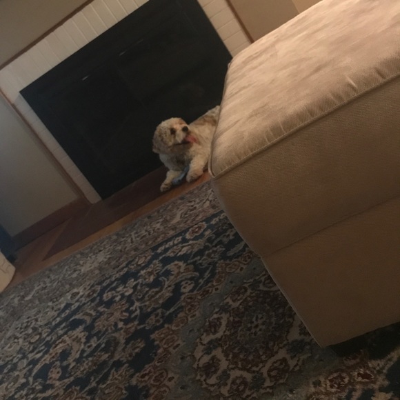 Maria Ysaac - Poshmark Profile Picture of Maria Ysaac (@mariaysaac) on Poshmark