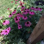 Profile Picture of Mary Seidel (@mary.seidel.794) on Facebook