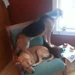 Profile Picture of Jacob Hamel (@j.hamel2002) on Instagram