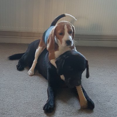 Profile Picture of Dave Bywater (@DaveBywater53) on Twitter