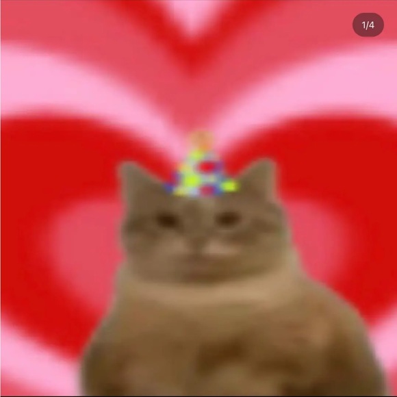 Profile Picture of Rohme C (@rohmec) on Poshmark